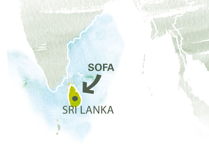 Carte coopÃ©rative SOFA au Sri Lanka  - Curry en poudre